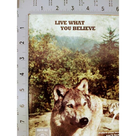 2002 Wolf Chewing Tobacco Print Ad Pack of Wolves Forest Taste the Spirit Quote - Picture 6 of 9
